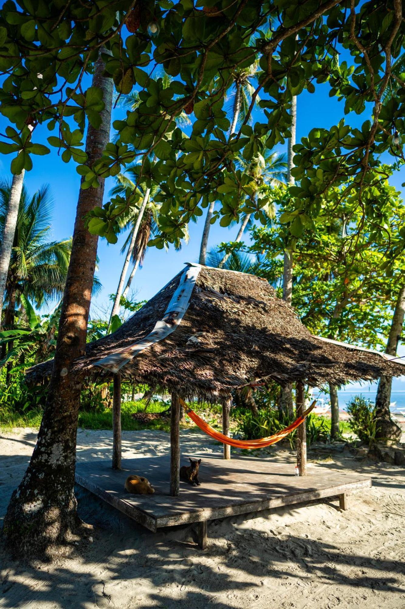 Amihan Beach Hostel San Vicente  Exterior photo